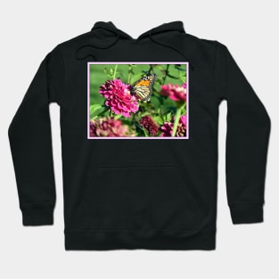 Monarch Butterfly on Zinnia Hoodie